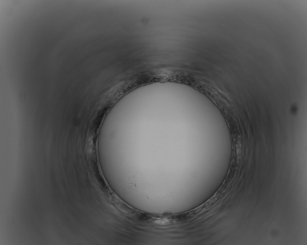 X0000094810611200711161005