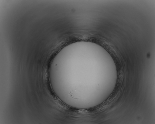 X0000094810612200711161005