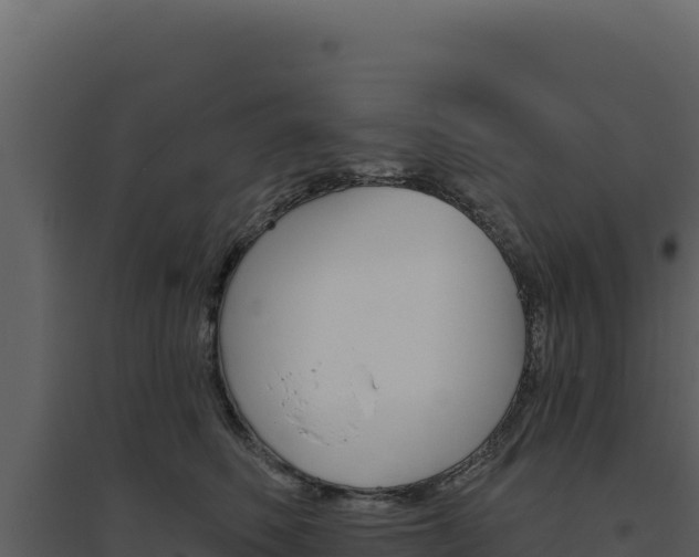 X0000094810614200711161005