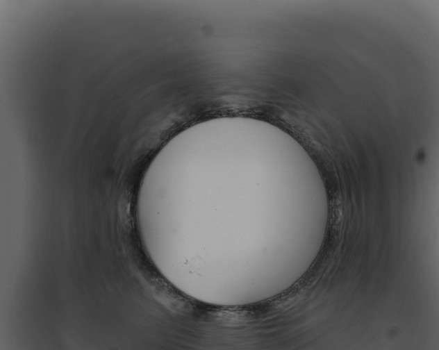 X0000094810615200711161005