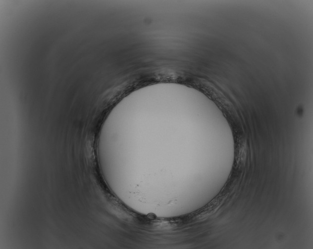 X0000094810616200711161005