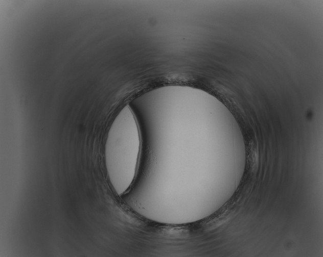 X0000094810619200711161005