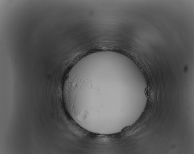 X0000094810620200711161005