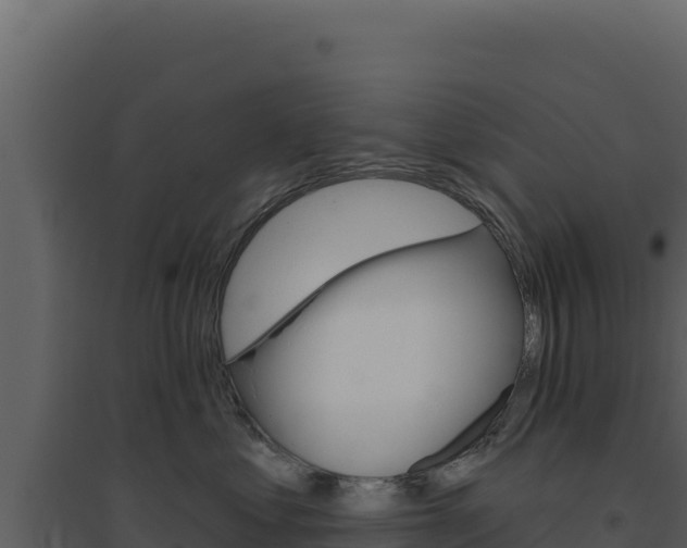 X0000094810621200711161005