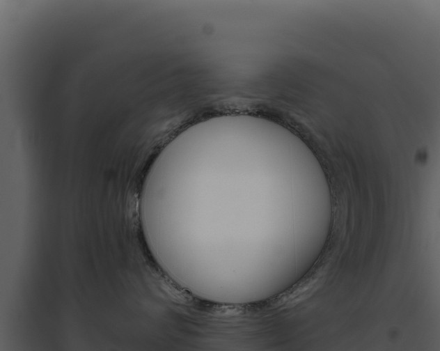 X0000094810624200711161005