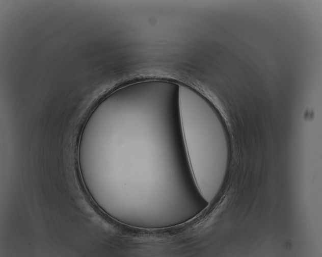 X0000094810625200711161005
