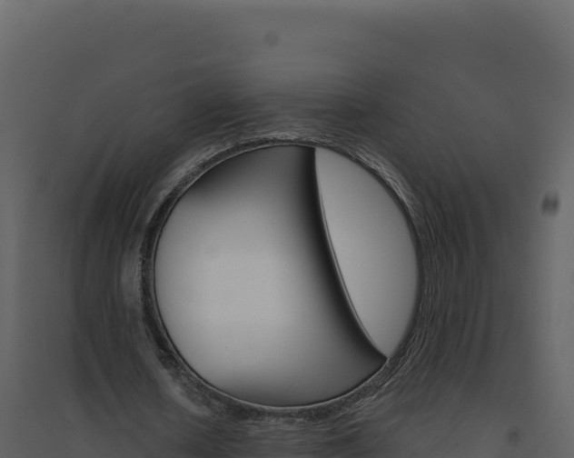 X0000094810626200711161005