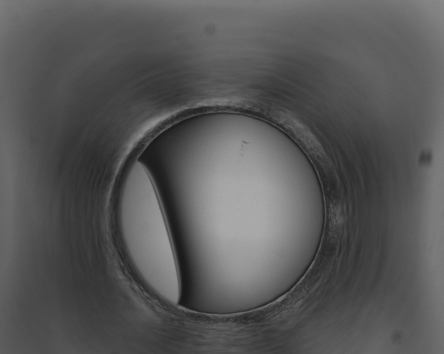 X0000094810628200711161005