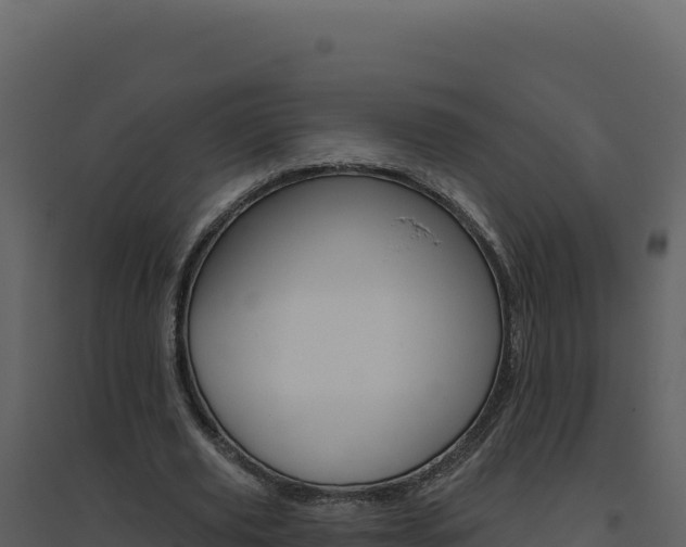 X0000094810629200711161005
