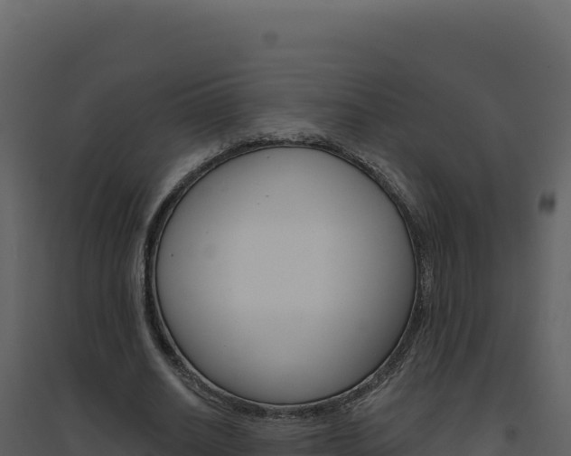 X0000094810630200711161005