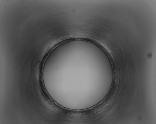 X0000094810631200711161005