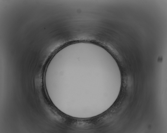 X0000094810632200711161005