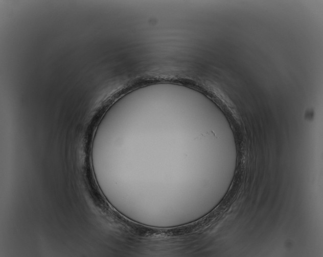 X0000094810635200711161005