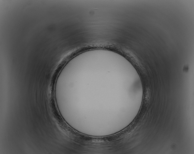 X0000094810636200711161005