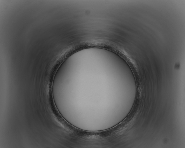 X0000094810637200711161005