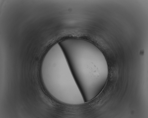 X0000094810639200711161005
