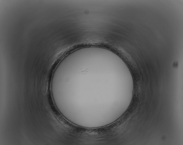 X0000094810640200711161005