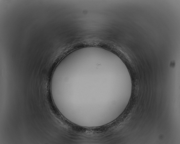 X0000094810641200711161005