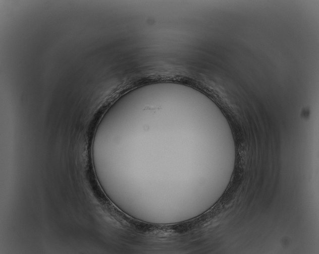 X0000094810642200711161005