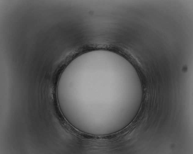 X0000094810643200711161005