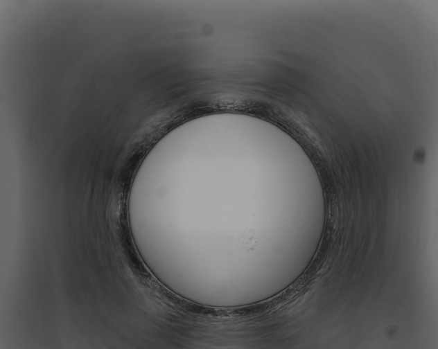 X0000094810645200711161005