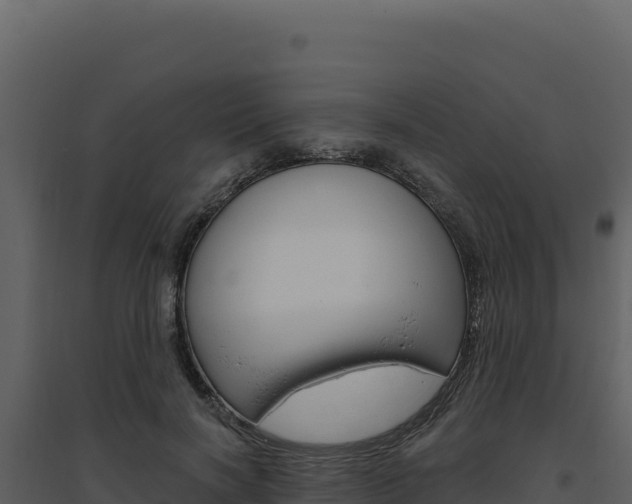 X0000094810646200711161005