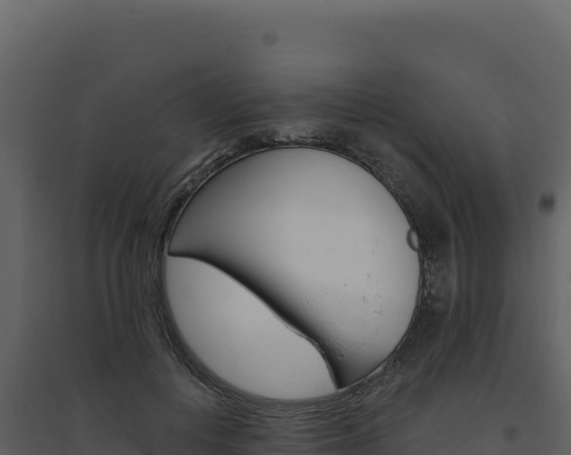 X0000094810648200711161005