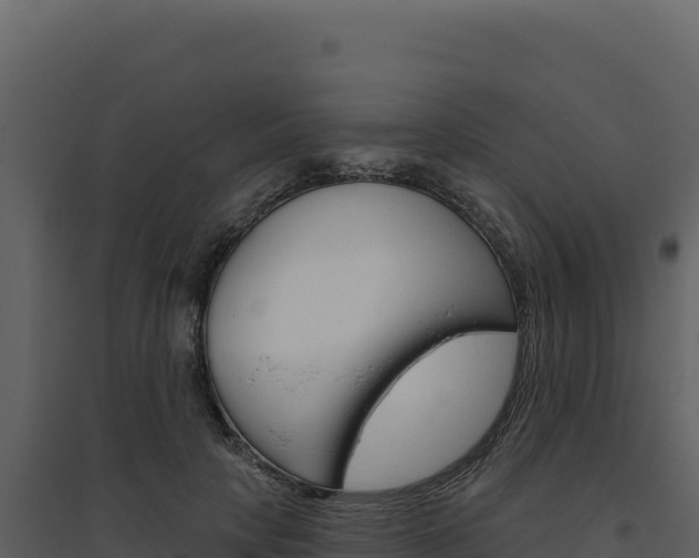 X0000094810649200711161005