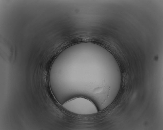 X0000094810650200711161005