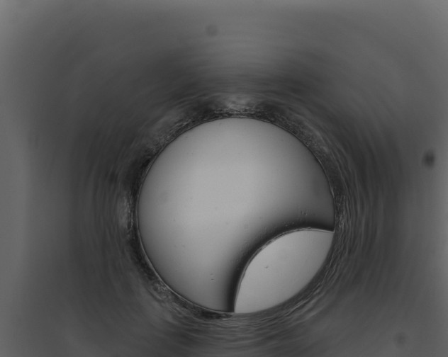 X0000094810651200711161005