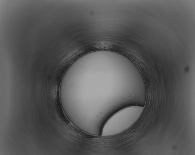 X0000094810652200711161005