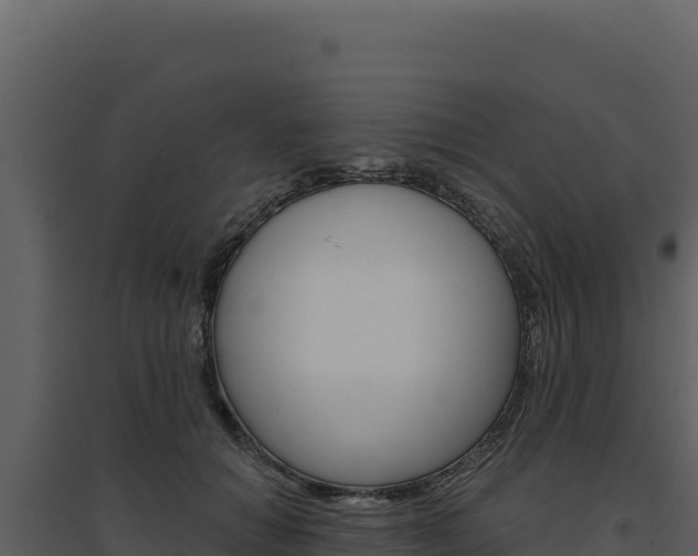 X0000094810654200711161005