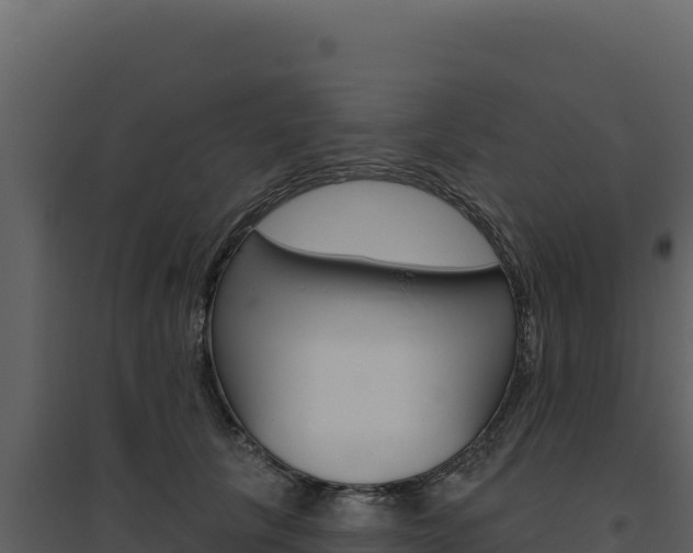 X0000094810657200711161005