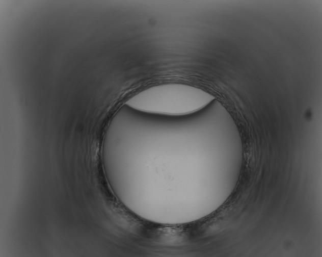 X0000094810660200711161005