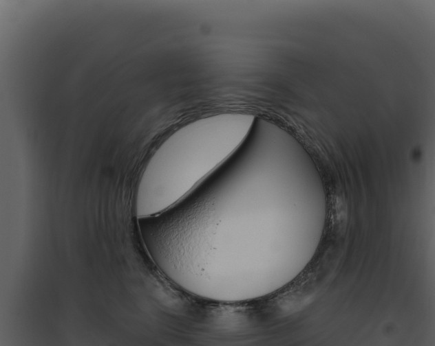 X0000094810664200711161005