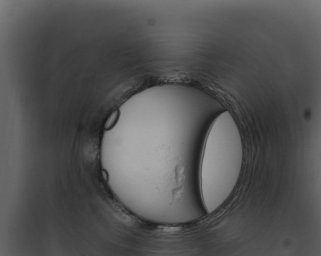 X0000094810665200711161005