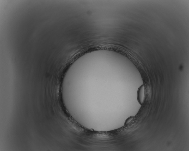 X0000094810668200711161005