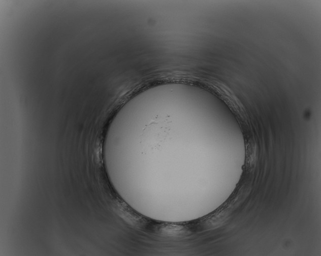 X0000094810669200711161005