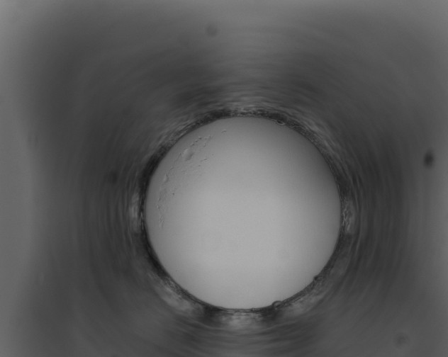 X0000094810670200711161005