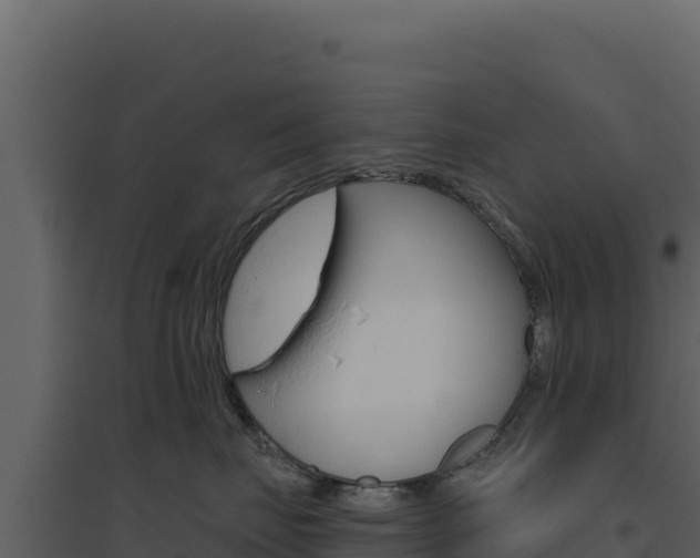 X0000094810671200711161005