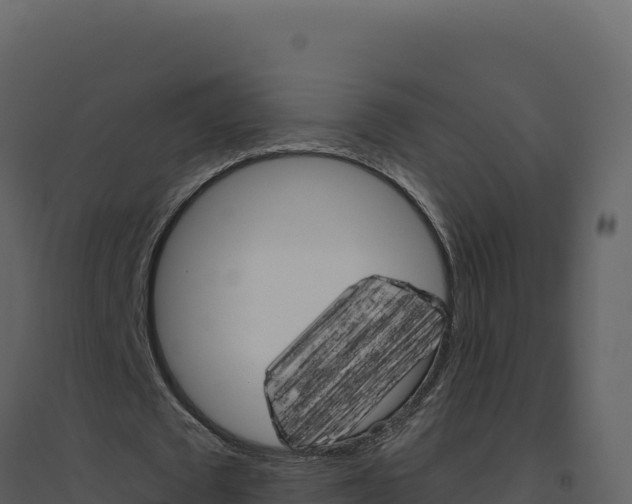 X0000094810673200711161005
