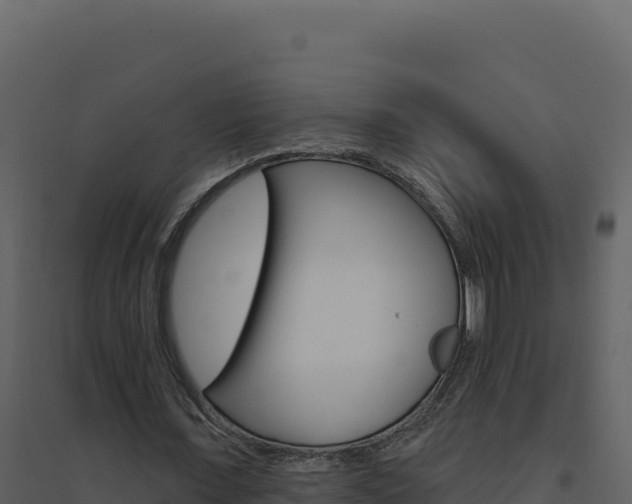 X0000094810675200711161004