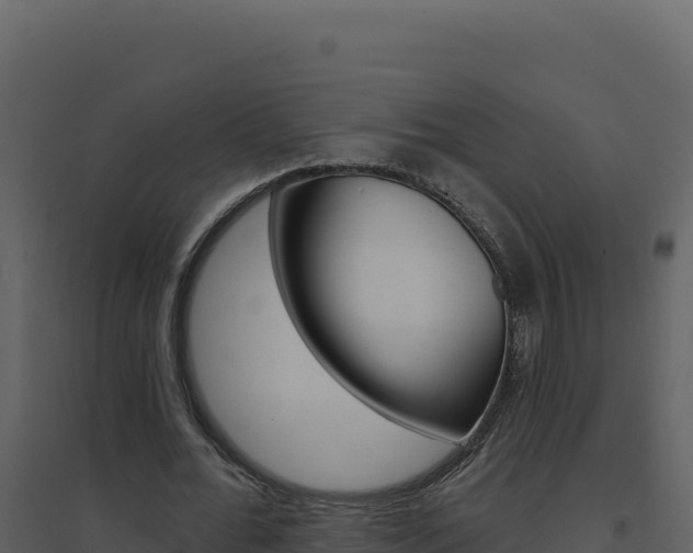 X0000094810676200711161004