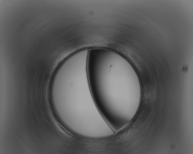 X0000094810677200711161004