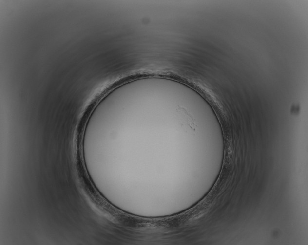 X0000094810678200711161004