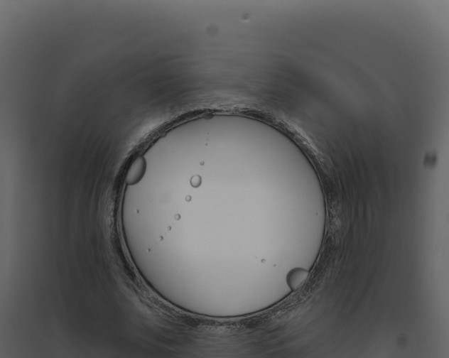 X0000094810679200711161004