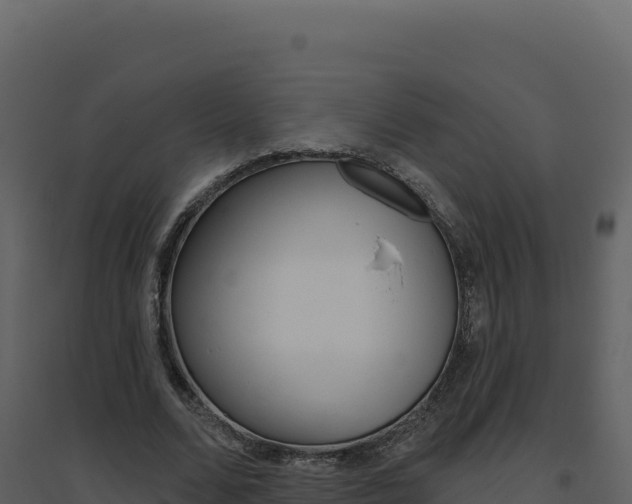 X0000094810680200711161004