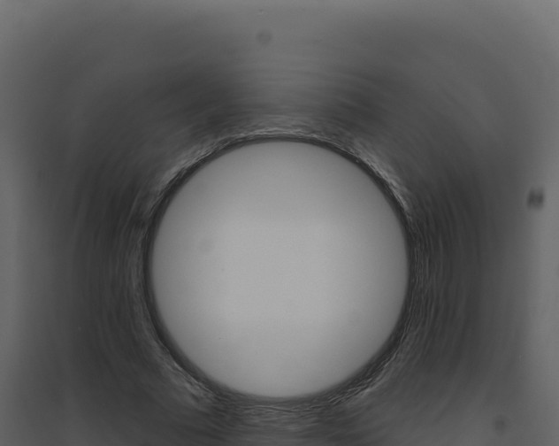 X0000094810681200711161004