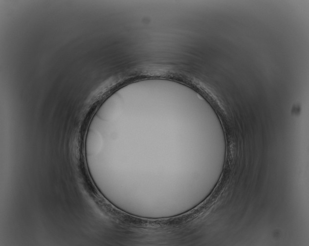 X0000094810682200711161004