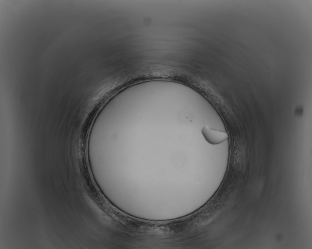 X0000094810683200711161004